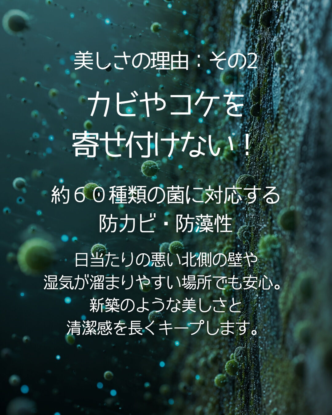【次の塗り替えは20年後!? 】